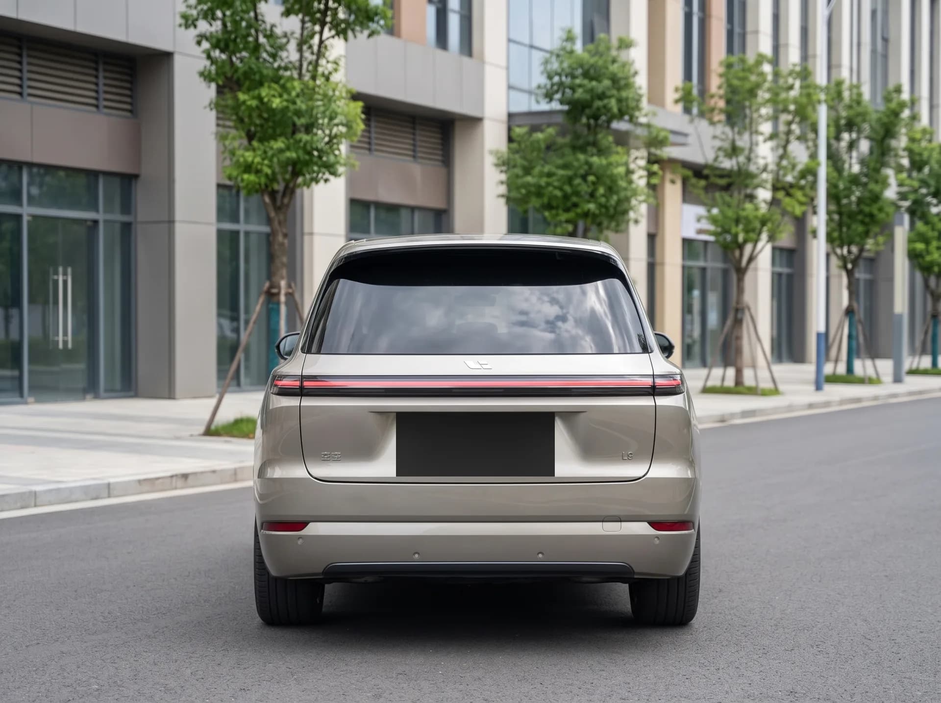 Lixiang L9 фото 4